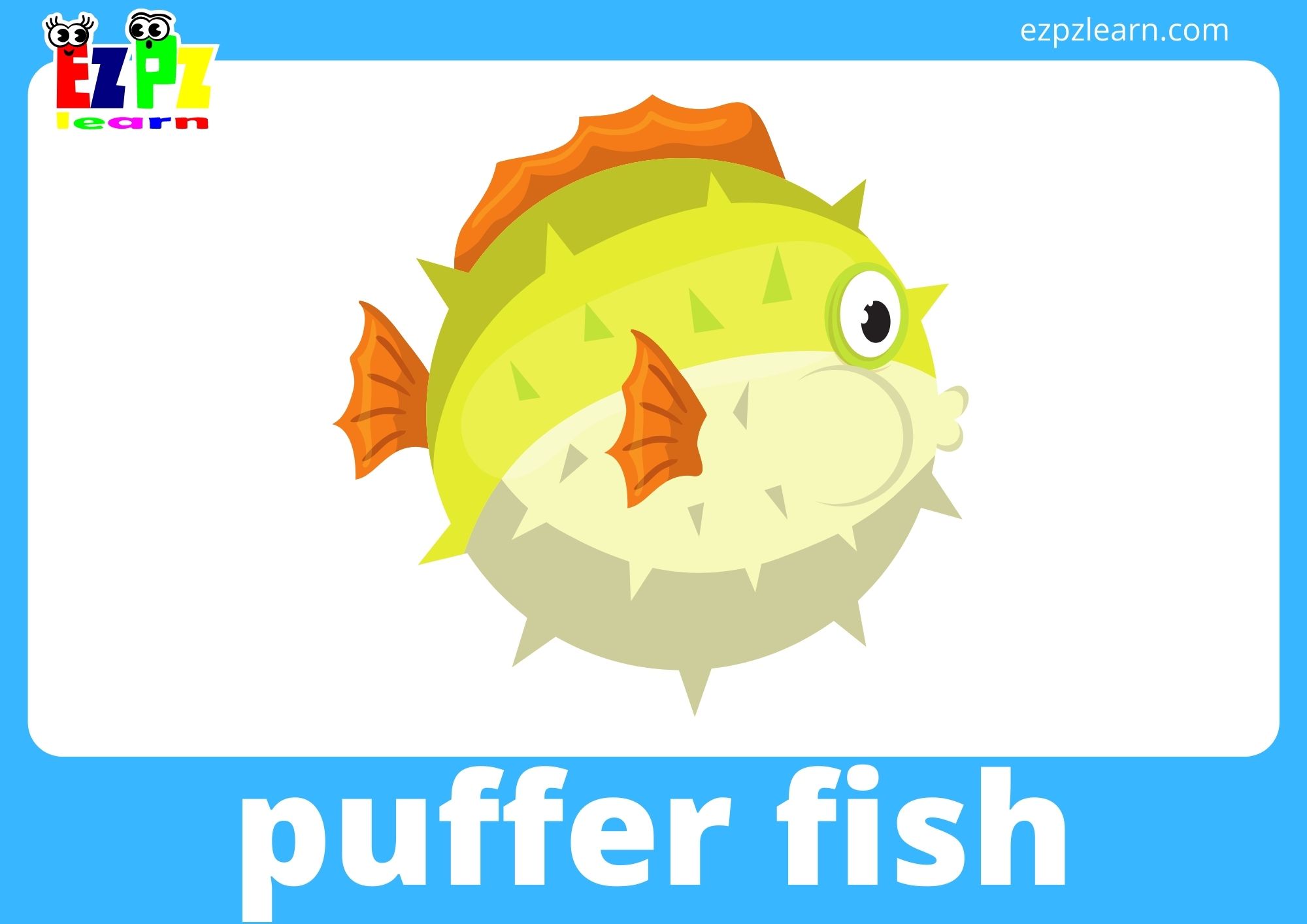 puffer fish